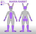 Basic ref sheet v2. by marinrabbit