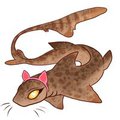 Cat shark by DonEnaya