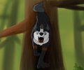 Dolar (Art Trade with Dolar)