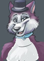 I have a tophat by Disel