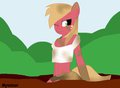 Big Mac's Special Time by Mytatsur