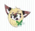 Dumb-Butt