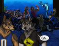commission from RMFC