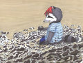 Mud 1