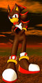 Project SW - Shadow in the Nighttime by sonicremix