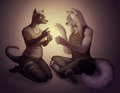 The Light Between Us