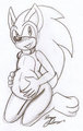 MPREG Sonic Returns!