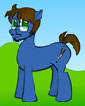 My Friend’s Random Little Pony by ProphetEKA