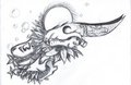Skulls