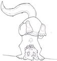 Baby YCH Inks: Upside down!&nbsp;&nbsp;