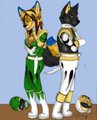Might Morphin Power Rangfurs