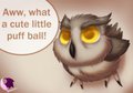 Angry Birbs