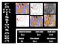 Discount commissions open by SleetFury
