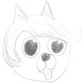 Jake's Character (Rough Draft)