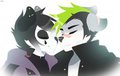 Nose boops by Censored