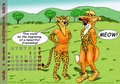 Fox Calendar 2015 - May