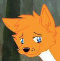 Mutt's bad night
