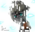 The disappearence of Tygar Tiger