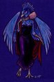 Coloured Corset Xaxoqual