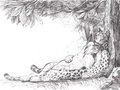 Drawing by Loulop by cLx