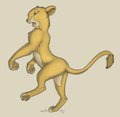 Skippy Lioness