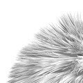 Ferret Williams in 3D