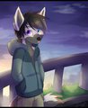 Fox of The Night