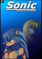 Sonic: Letting Go Of Hope - Chapter 1 - Found by SiscoTheLycanhog