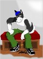 GIFT ART : Dodger In A Different Light by coltonwulfpaws