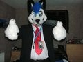 PHOTOGRAPH - Dodger Husky by coltonwulfpaws
