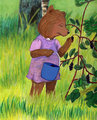 Blackberries