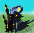 Me and Luxray