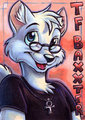 T.F. Baxxter badge by Dingbat