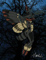 RH: Victoria the Death-head hawkmoth