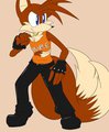 Commission-Lio 21