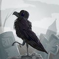 Raaaaaaaven OvO