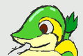 Snivy Colored