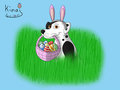 A Bunny in the high Grass