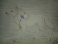 Kiyiya Howling Wolf