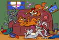 Couch Crash