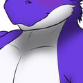 Drakku