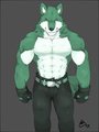 My shikimizu by shirou12
