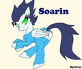 Soarin