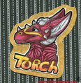 [Gift] Torch headshot badge