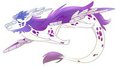 Many FR dragons