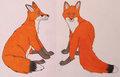 Traditionally drawn foxes by TheDreamFox