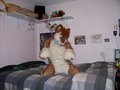 New Submission by JaseHuskycurl