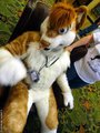 hi there im jase :) by JaseHuskycurl