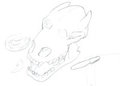 Memento mori, or, study of an anatomical study
