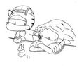 Broken Sonic
